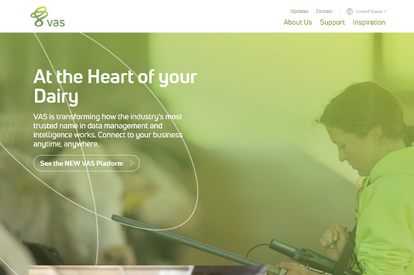 Screenshot of VAS